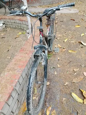 Bicycle For Sale
