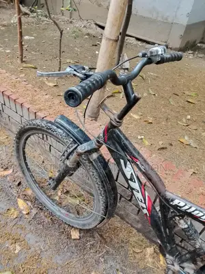 Bicycle For Sale