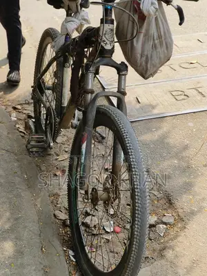 Phoenix bicycle for sale