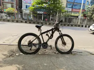 Phoenix bicycle for sale