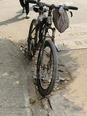 Phoenix bicycle for sale