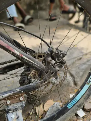 Phoenix bicycle for sale