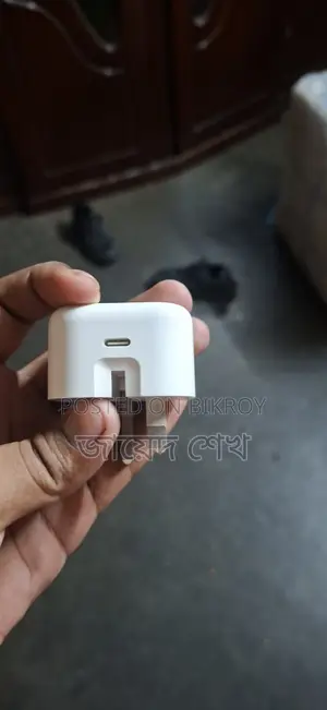 Apple Charger