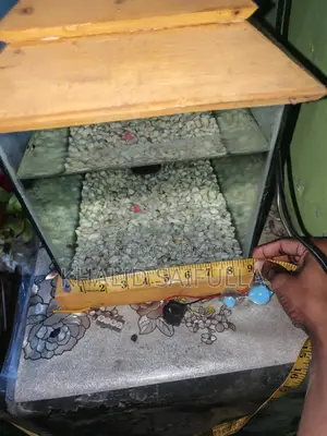 একুরিয়াম