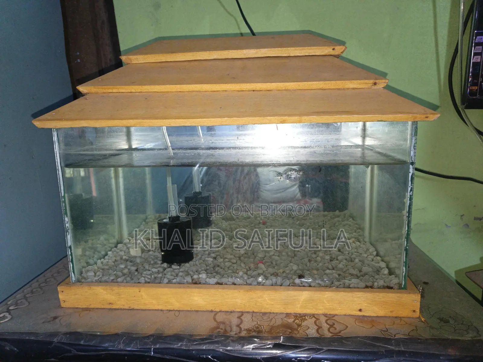 একুরিয়াম