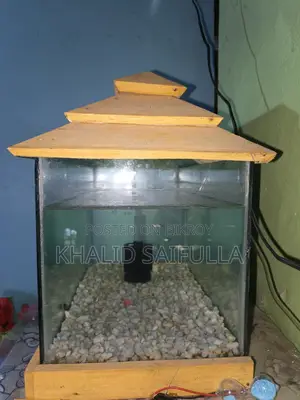 একুরিয়াম