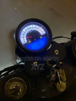 Speeder Countryman 2019