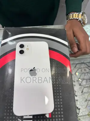 Apple iPhone 12 (Used)