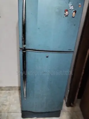 Fridge for sale (Needs gas)