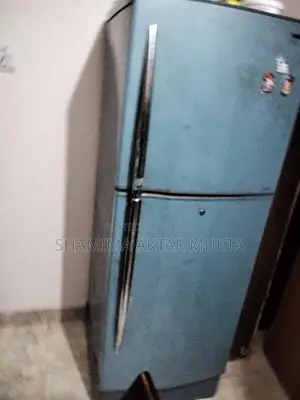 Fridge for sale (Needs gas)