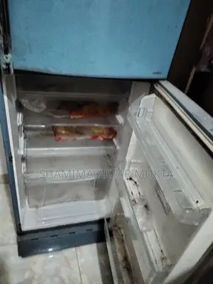 Fridge for sale (Needs gas)
