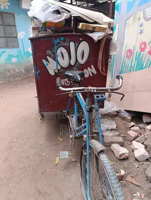 Sturdy Van