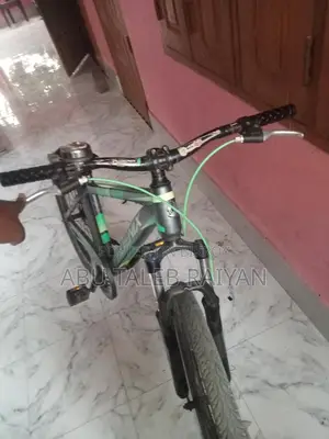Phoenix Bicycle for Sale