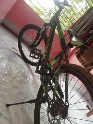 Phoenix Bicycle for Sale