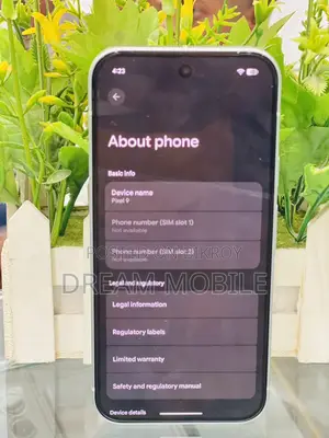 Google Pixel 9 (Used)