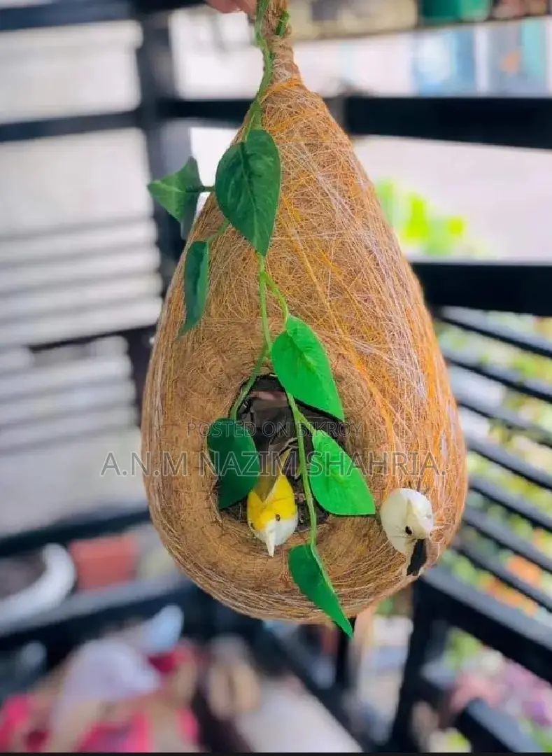 Bird nest