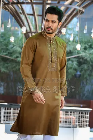 Super Premium Panjabi
