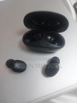 Blueant Air Buds