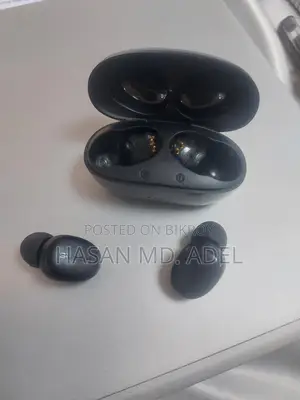 Blueant Air Buds