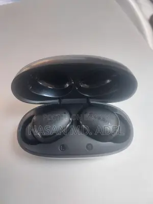 Blueant Air Buds
