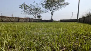 3 Katha Ready Plot | Block P, Bashundhara R/A