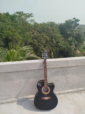 অড সিগনেচার গিটার