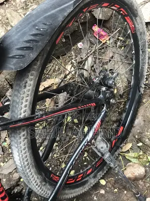 ফিনিক্স সাইকেল বিক্রয় হবে