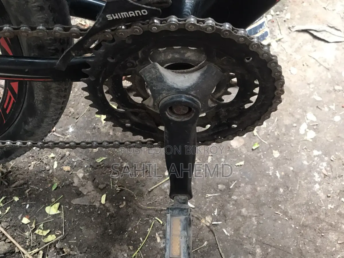 ফিনিক্স সাইকেল বিক্রয় হবে