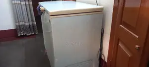 Eco-Plus Deep Freezer
