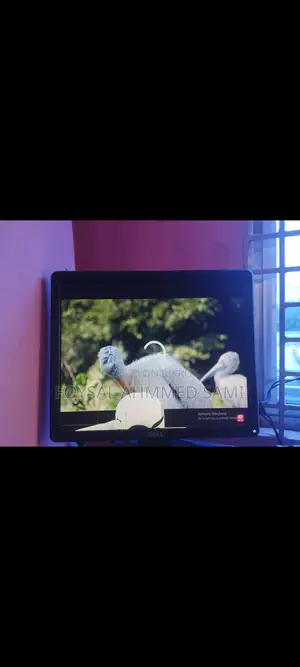 DELL 17" Monitor