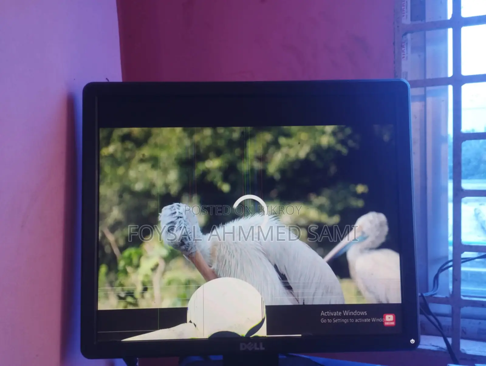 DELL 17" Monitor