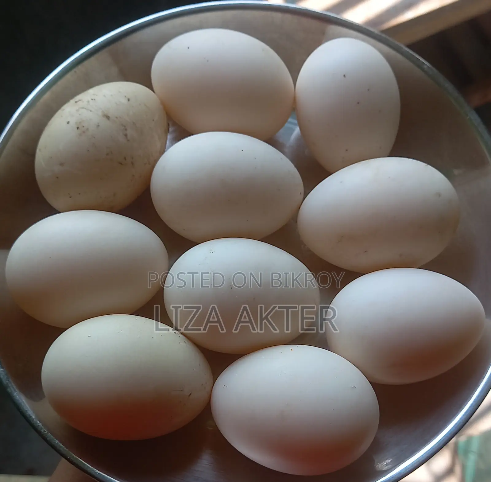 বাচ্চা ফুটানোর জন্য চিনা হাঁসের বীজ ডিম