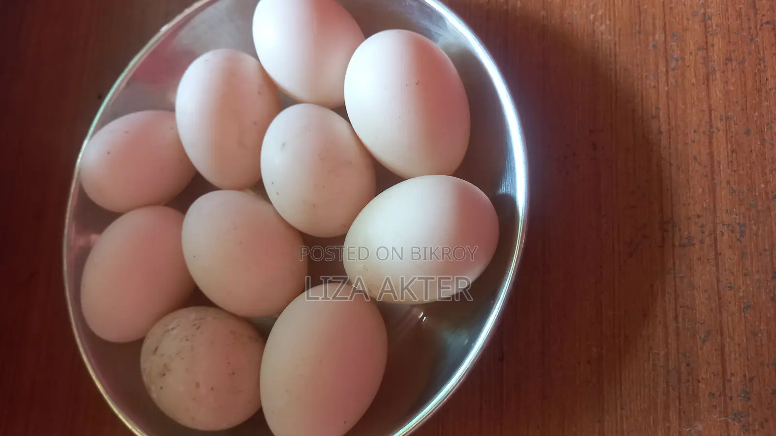 বাচ্চা ফুটানোর জন্য চিনা হাঁসের বীজ ডিম