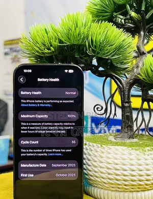 Apple iPhone 15 Pro 128GB (Used)