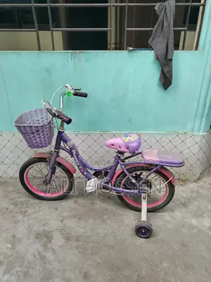 bicycle sale