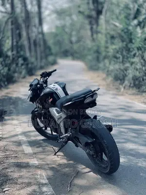 TVS Apache RTR 160 4v 2021