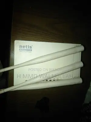 Netis router