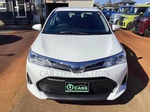 Toyota Axio Non Hybrid EX pack 2021