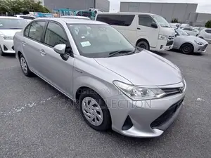 Toyota Axio EX 2021
