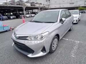 Toyota Axio EX 2021