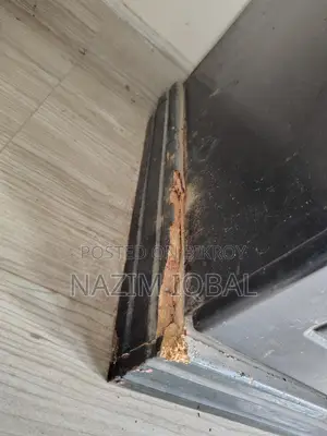 মালয়শিয়ান উড শোকেজ