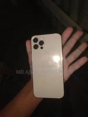 Apple iPhone 12 Pro (Used)