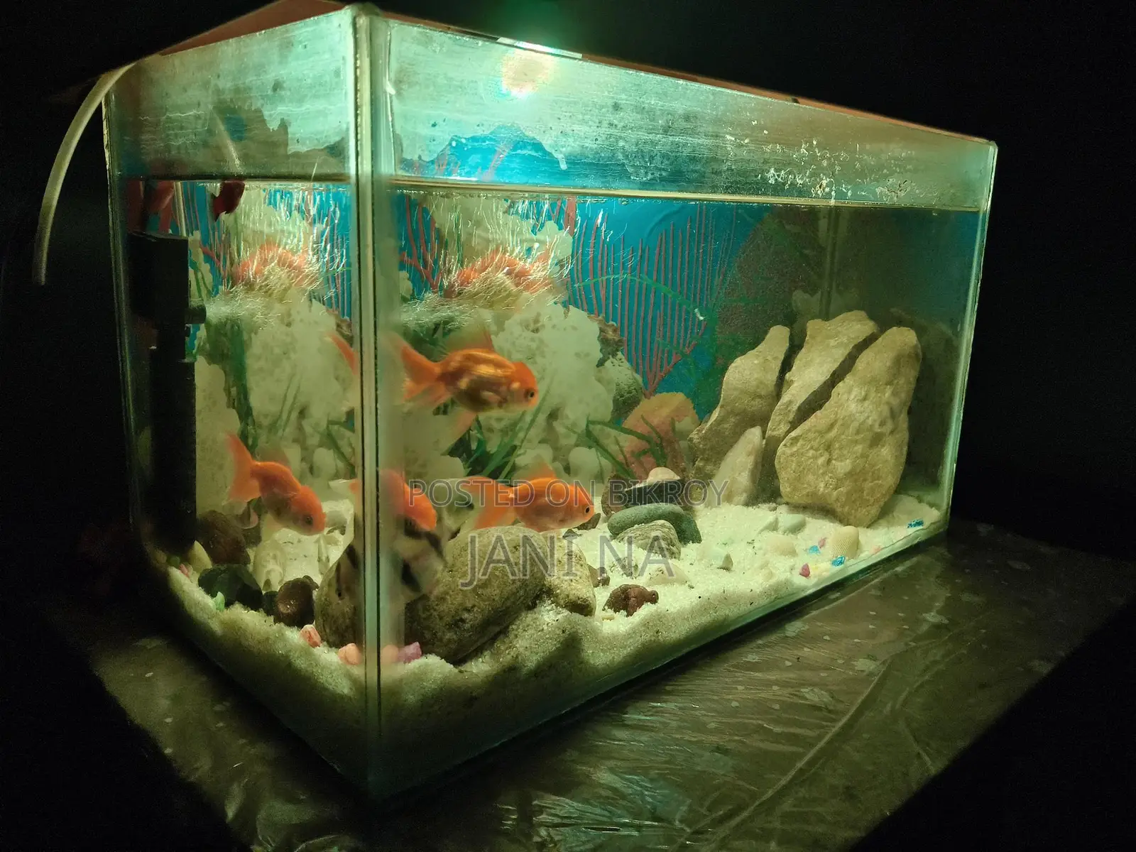 Used Aquarium
