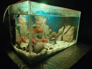 Used Aquarium