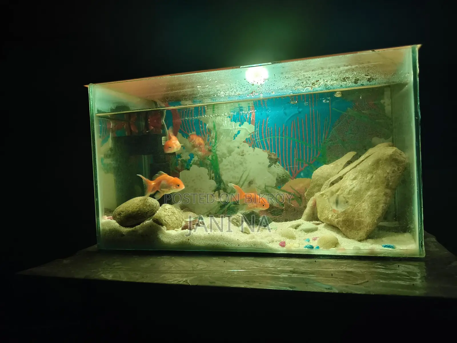 Used Aquarium