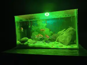 Used Aquarium