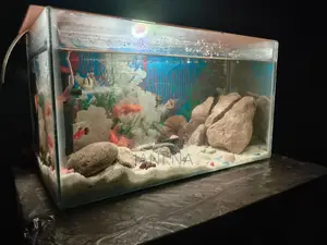 Used Aquarium