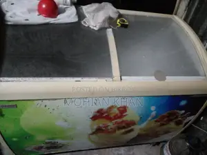 Singer 400 Liter Ice Cream Fridge