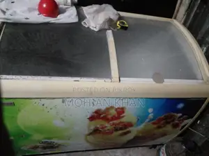 Singer 400 Liter Ice Cream Fridge