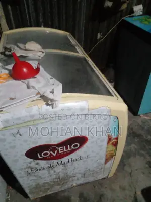 Singer 400 Liter Ice Cream Fridge